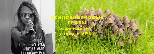 мескалин Гусиноозёрск