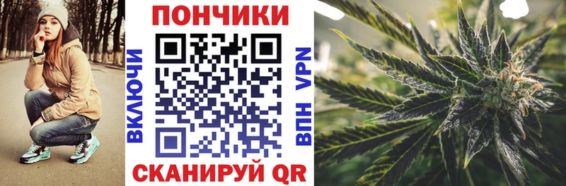Конопля Amnesia где купить наркоту Павловская